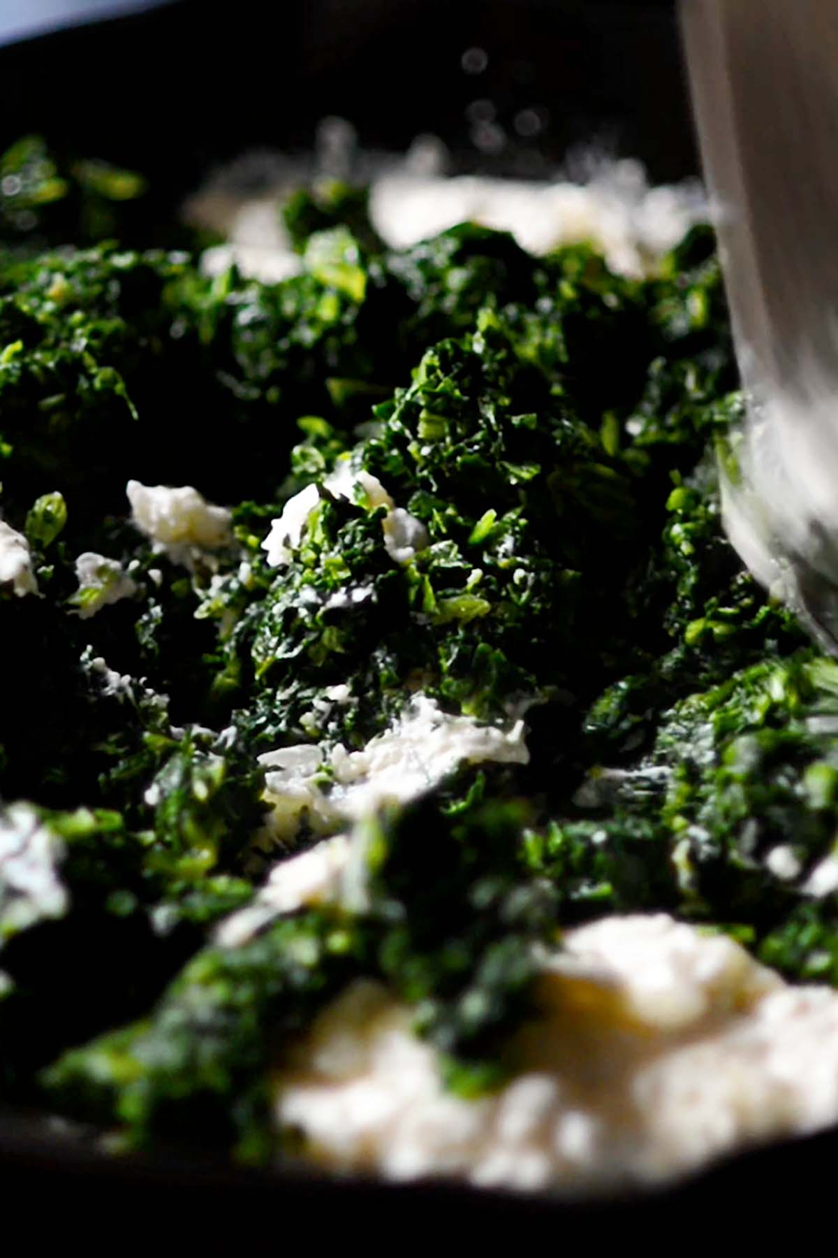 Spinach added to a creamy and cheesy mixture.