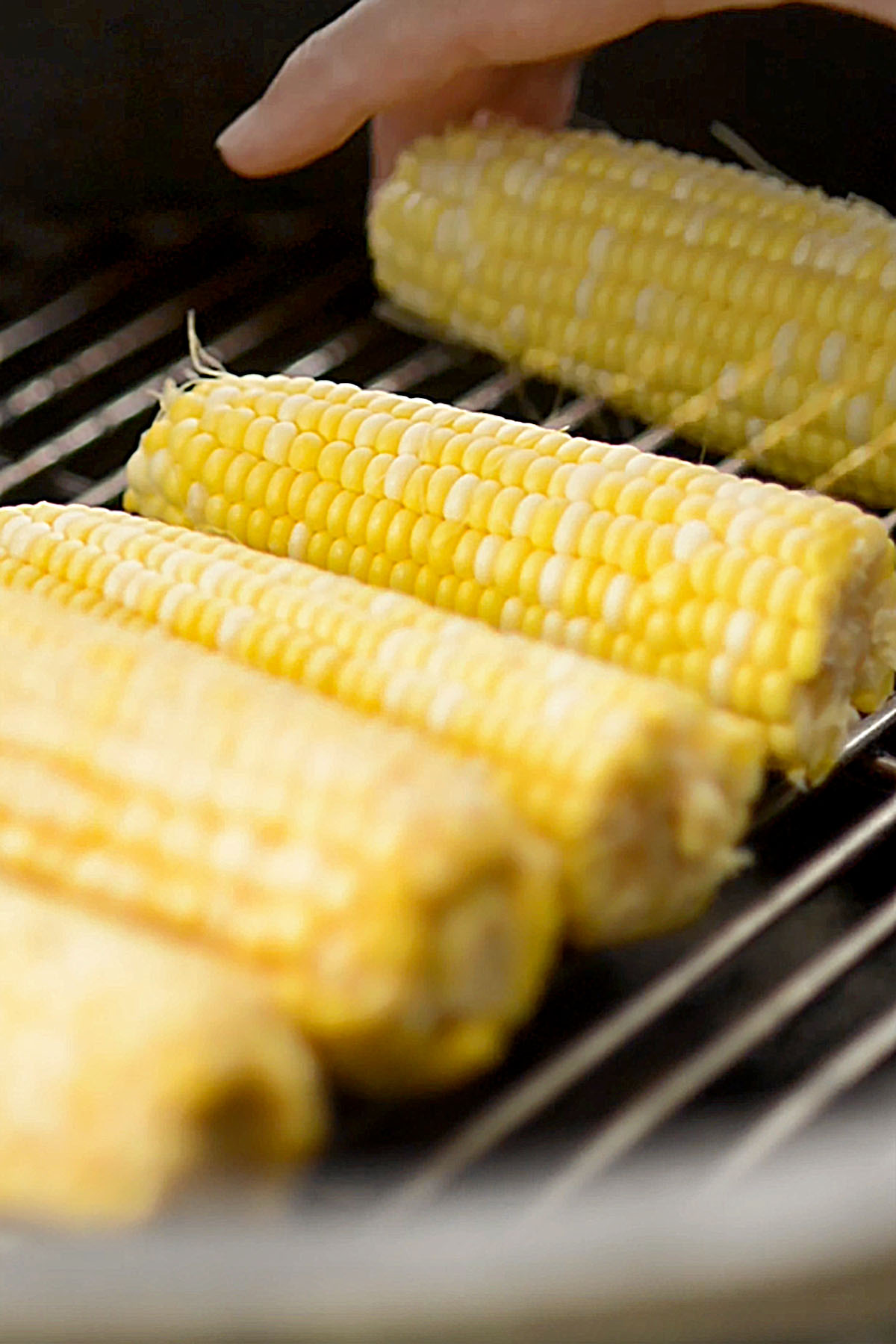 Corn on the cob being roasted on the grill.